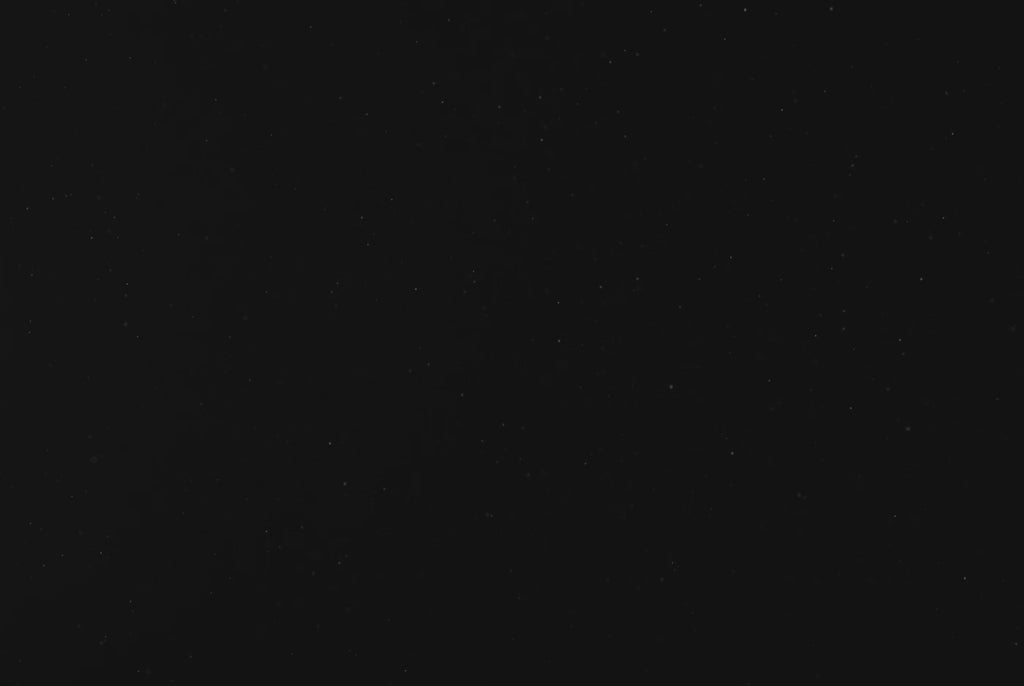 Guy Harvey Billfish Slam Ring