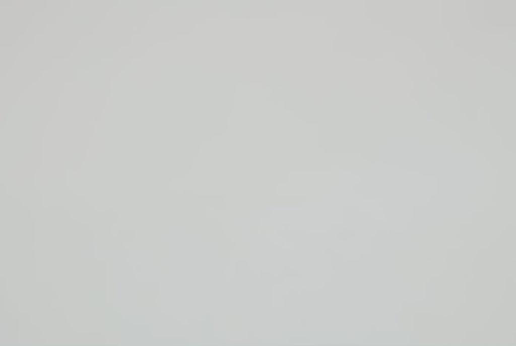 Apple Magnetic Watch Band - White